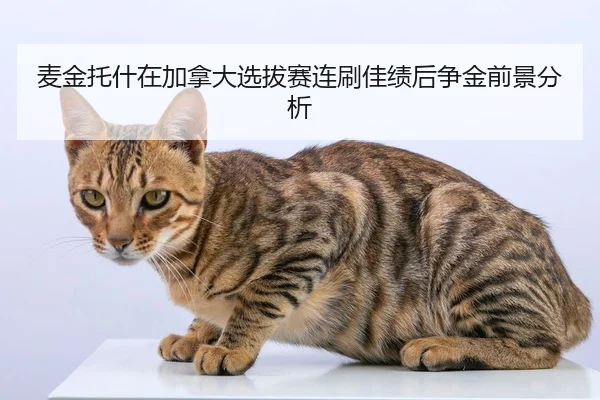 mai-jin-tuo-shen-zai-jia-na-da-xuan-ba-sai-lian-shua-jia-ji-hou-zheng-jin-qian-jing-fen-xi-2-113.jpg