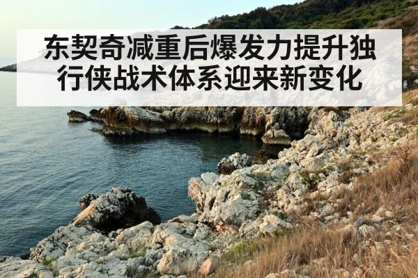 东契奇减重后爆发力提升独行侠战术体系迎来新变化